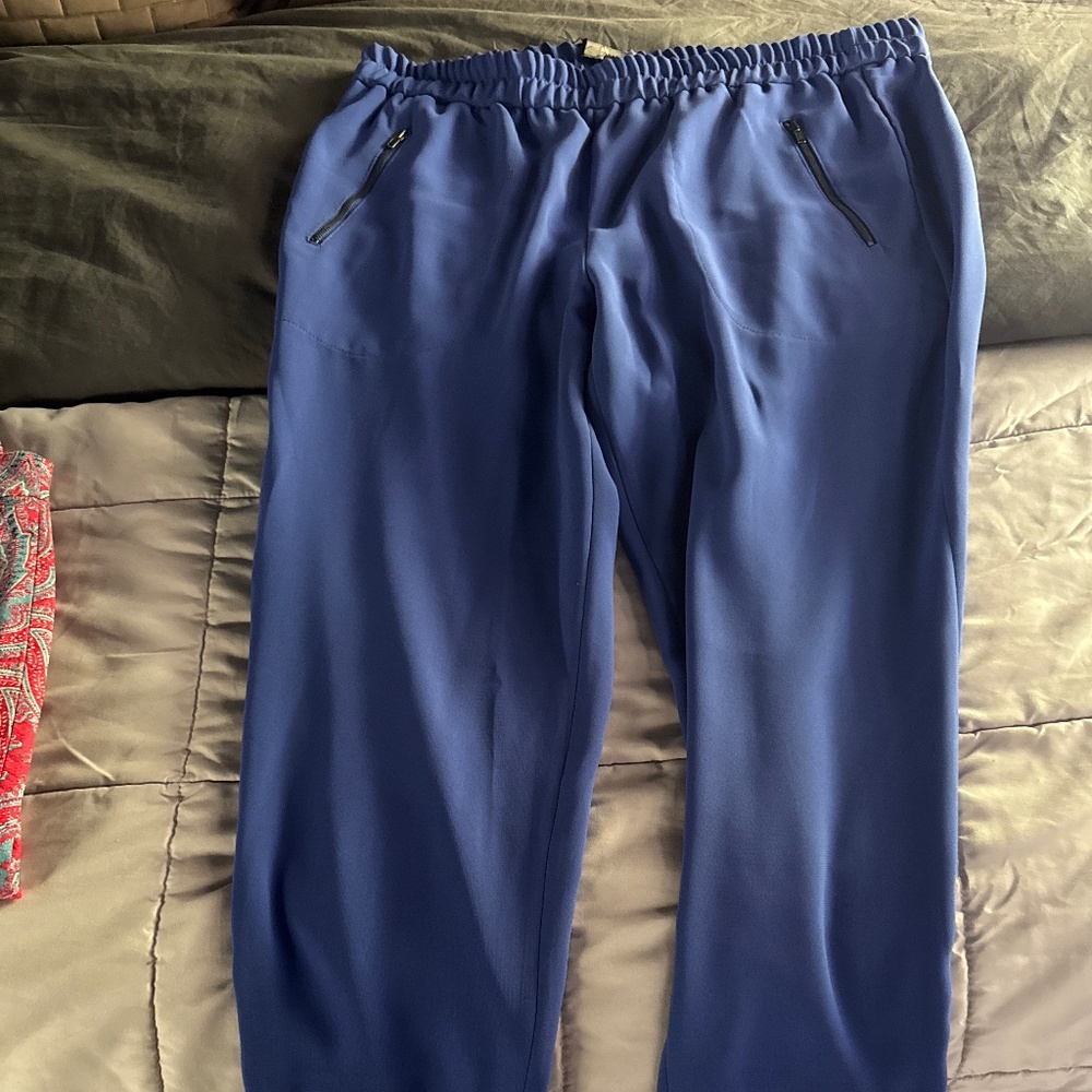 JCrew  elastic waist pants